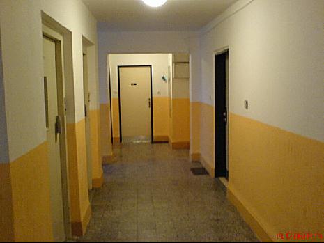 Veškeré nátěry a malby Veškeré nátěry a malby