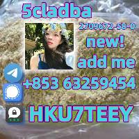 Klikni pro vt obrzek (oteve se v novm okn)